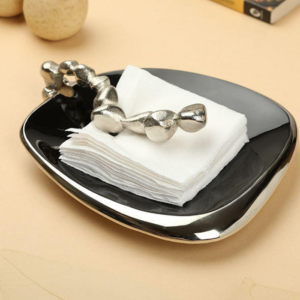 Tissue-holder8