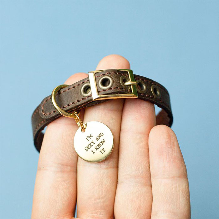 Buckle collars