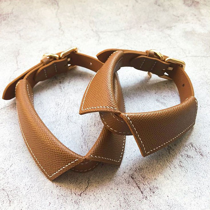Harness