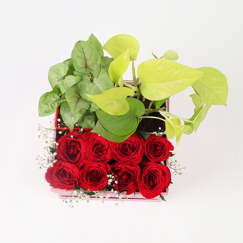 Good Luck Flower Pack - Image 2