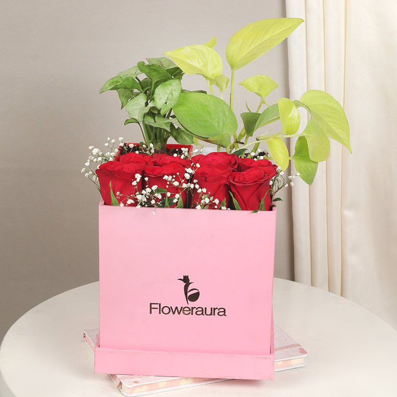 Good Luck Flower Pack - Image 3