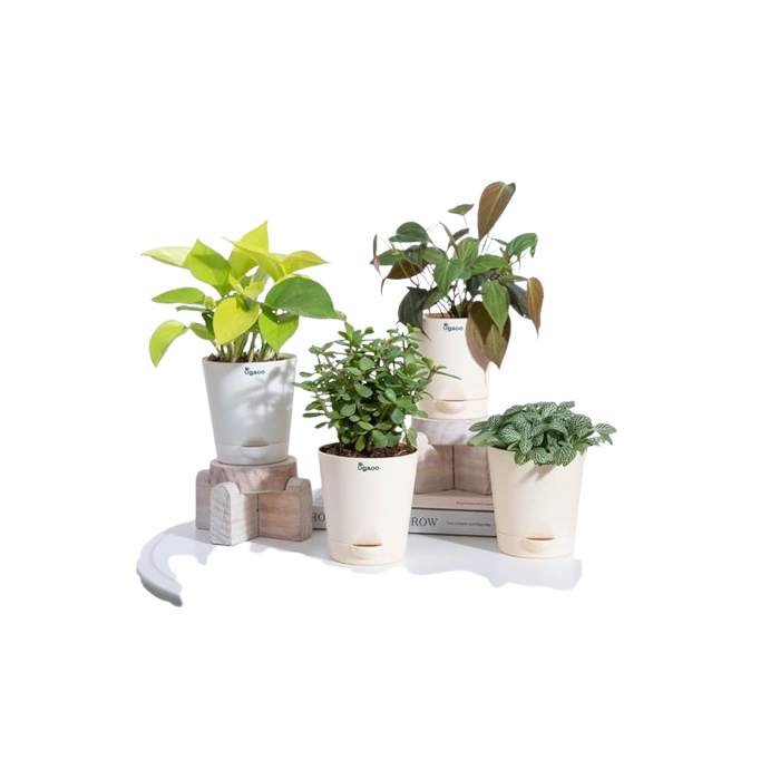 plant combo